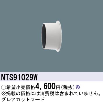 NTS91029W