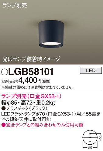 LGB58101