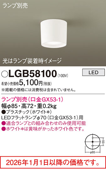LGB58100