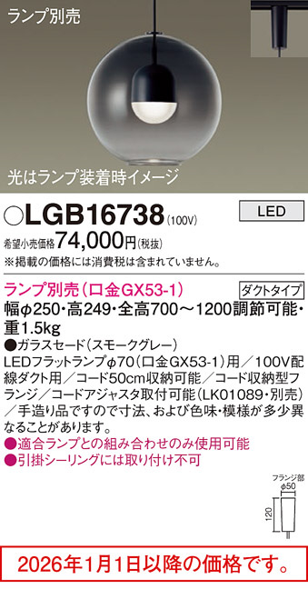 LGB16738