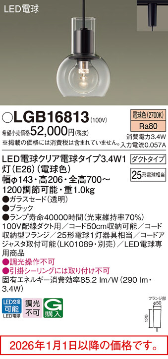 LGB16813