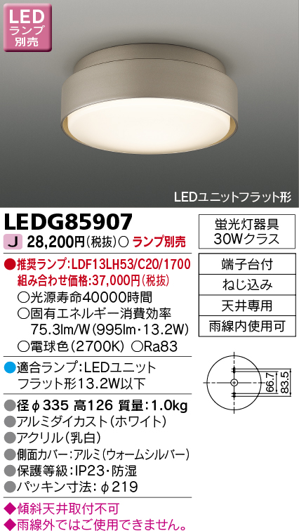 LEDG85907